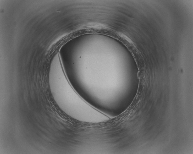 X0000063501112200601201019