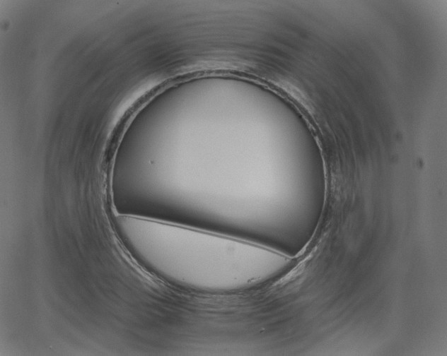 X0000063501119200601201019