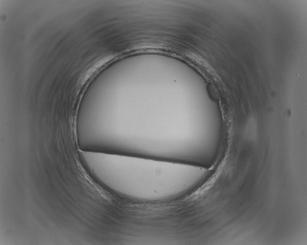 X0000063501121200601201019