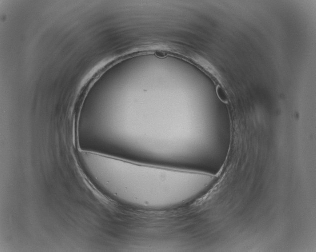 X0000063501127200601201019