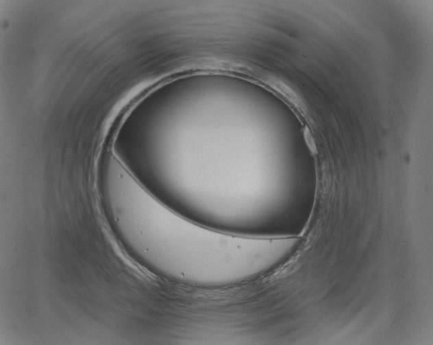 X0000063501128200601201019