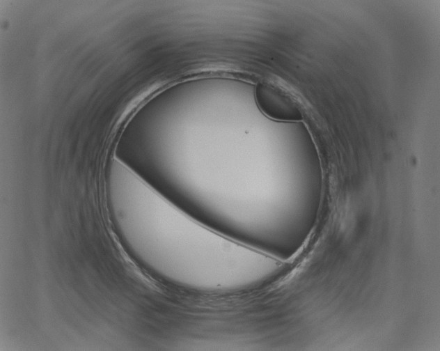 X0000063501129200601201019