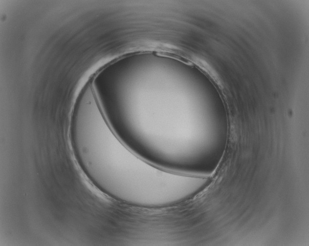 X0000063501136200601201019