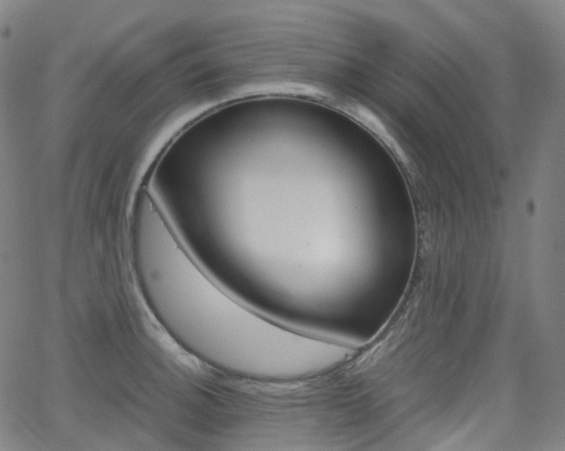 X0000063501140200601201019