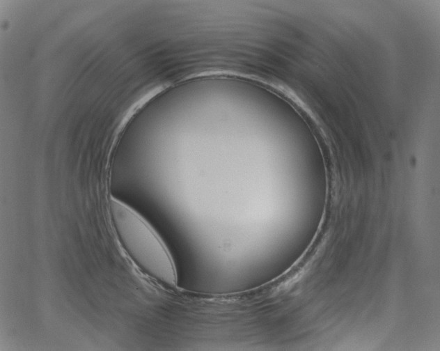 X0000063501145200601201020