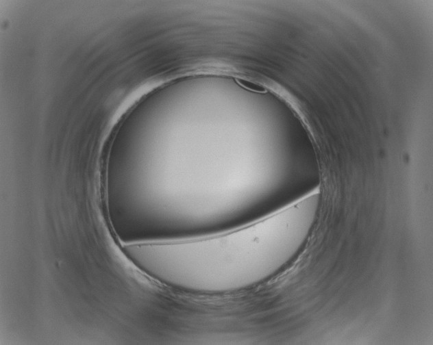 X0000063501147200601201020