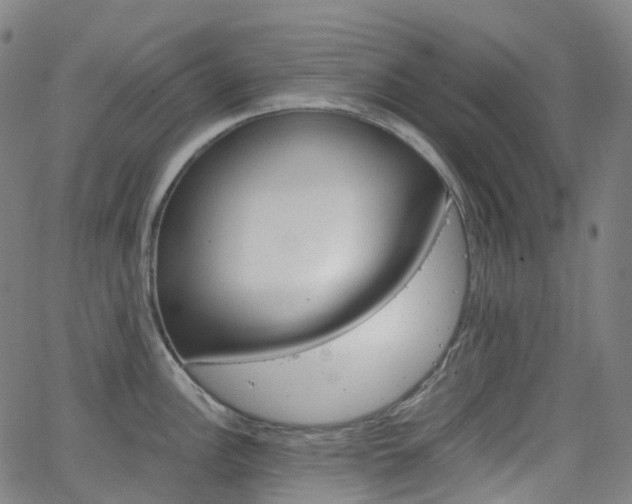 X0000063501148200601201020