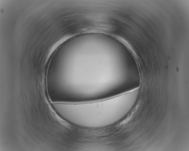 X0000063501149200601201020