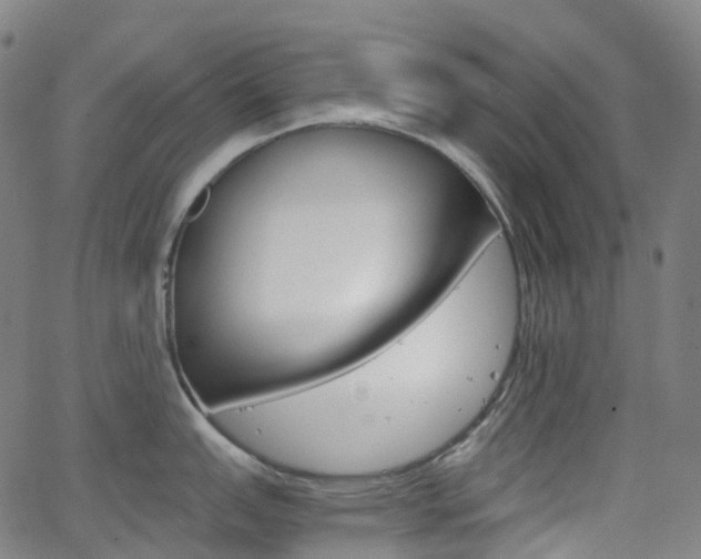 X0000063501151200601201020