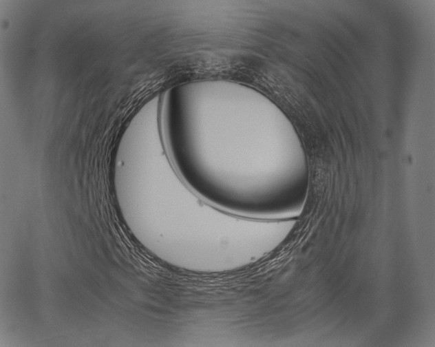 X0000063501153200601201019