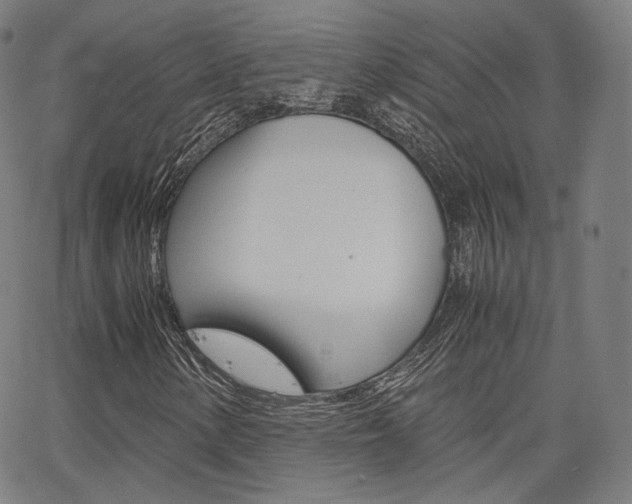 X0000063501154200601201019