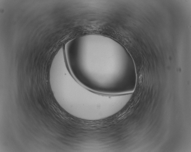 X0000063501156200601201019