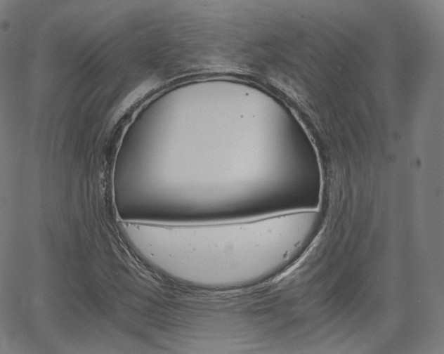X0000063501163200601201019