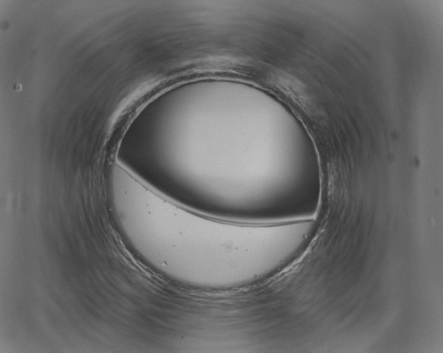 X0000063501164200601201019