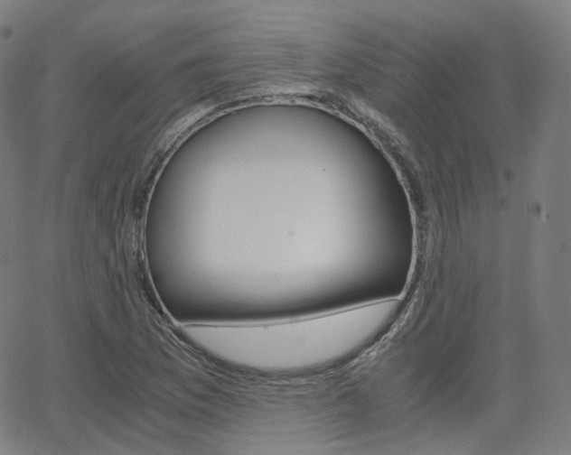 X0000063501169200601201019