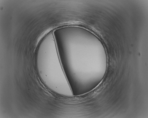 X0000063501171200601201019
