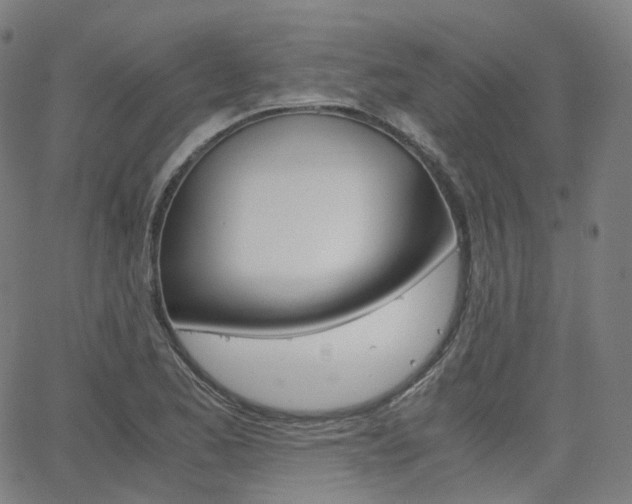 X0000063501173200601201019