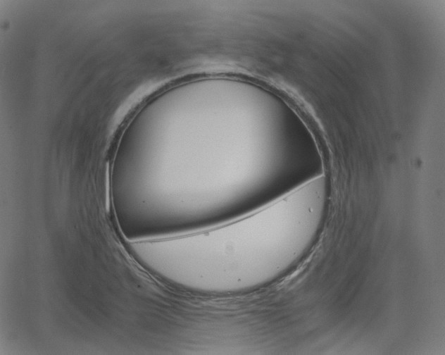 X0000063501175200601201019