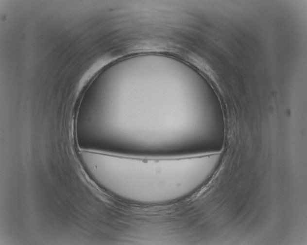 X0000063501179200601201018