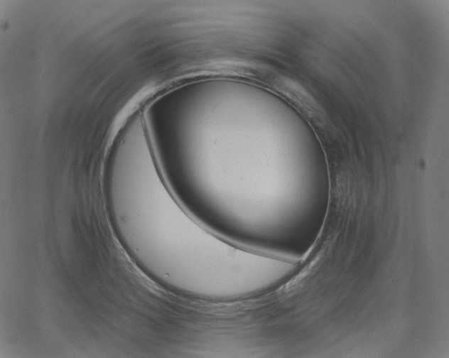 X0000063501180200601201018