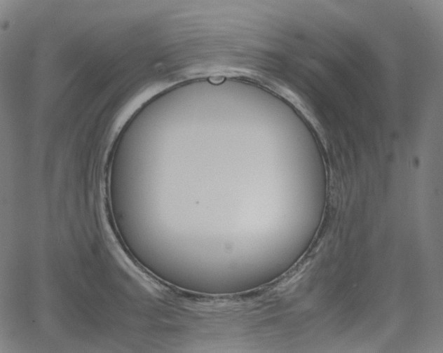X0000063501187200601201018