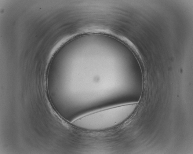 X0000063501191200601201018