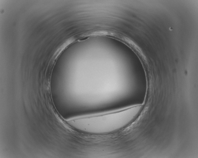 X0000063501193200601201018