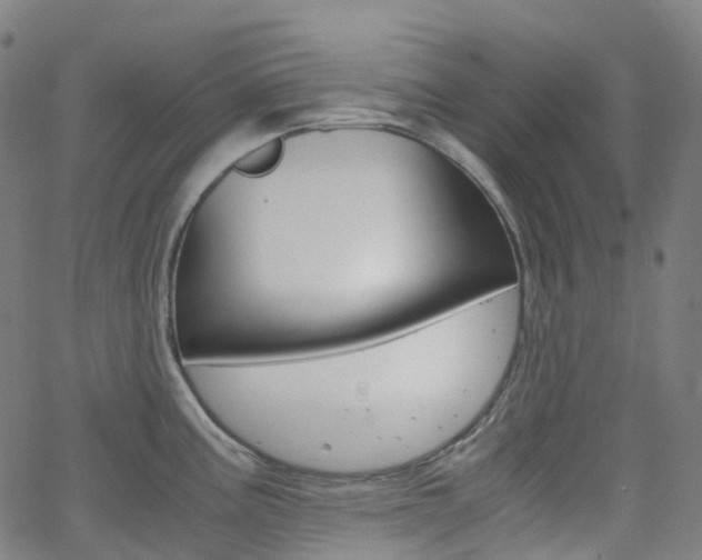 X0000063501195200601201018