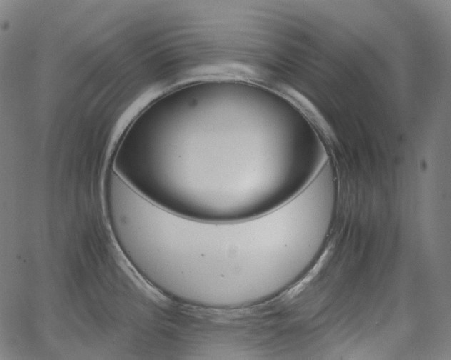 X0000063501196200601201018