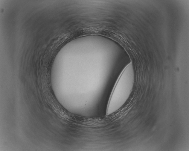 X0000063501201200601201017