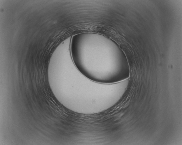 X0000063501202200601201017