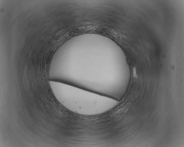 X0000063501203200601201017