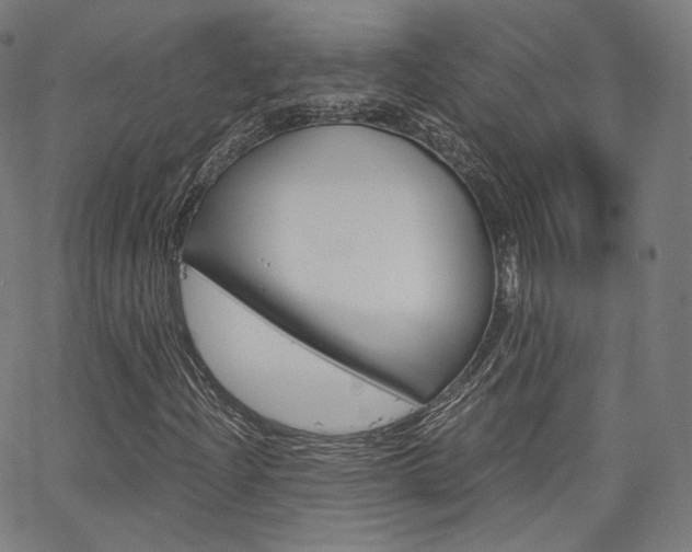 X0000063501204200601201017