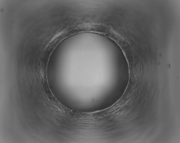 X0000063501206200601201017