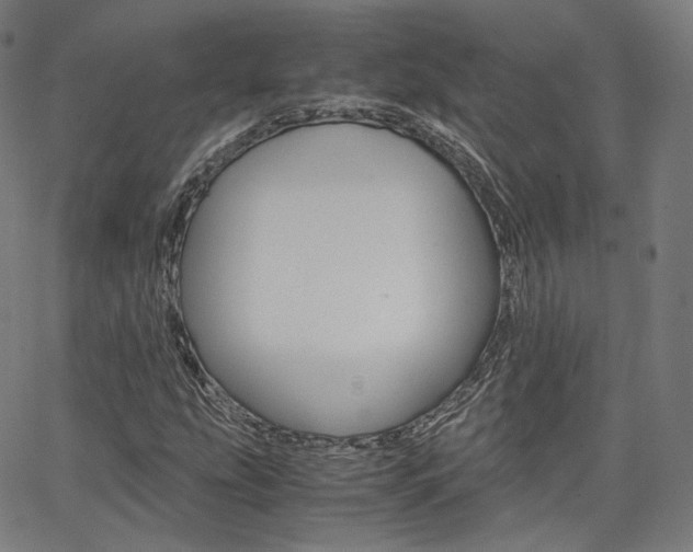 X0000063501207200601201017