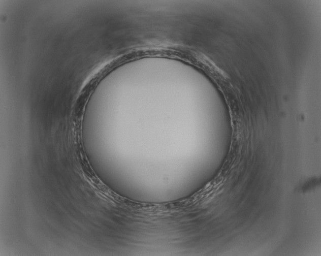 X0000063501208200601201017