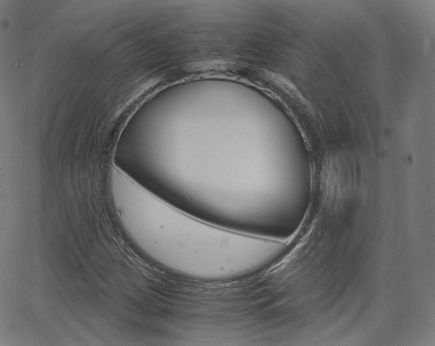 X0000063501209200601201017