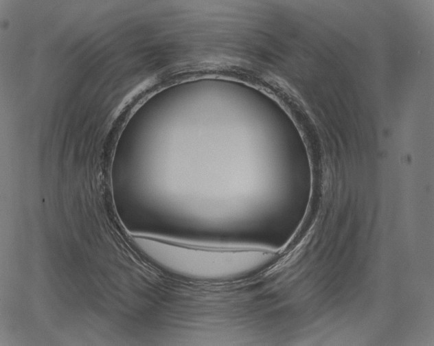 X0000063501210200601201017