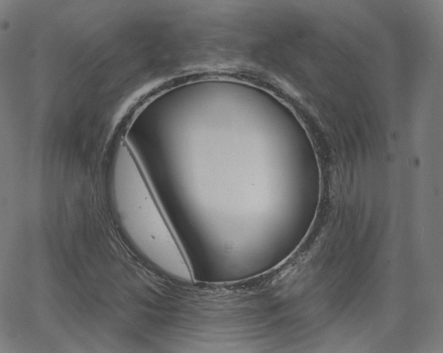 X0000063501214200601201018
