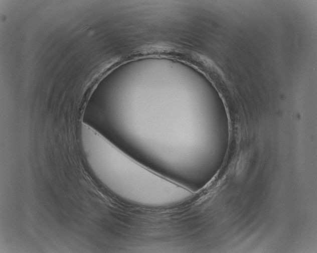 X0000063501217200601201018