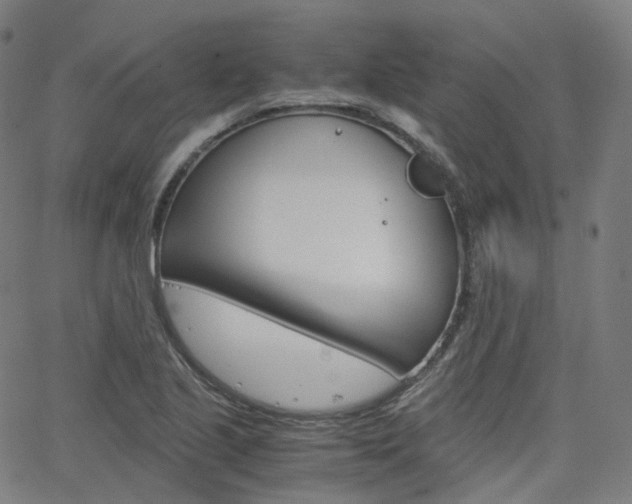 X0000063501221200601201018