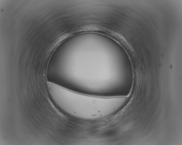 X0000063501225200601201018
