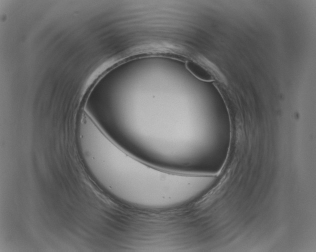 X0000063501226200601201018