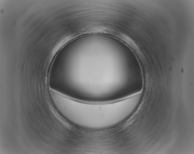 X0000063501234200601201018