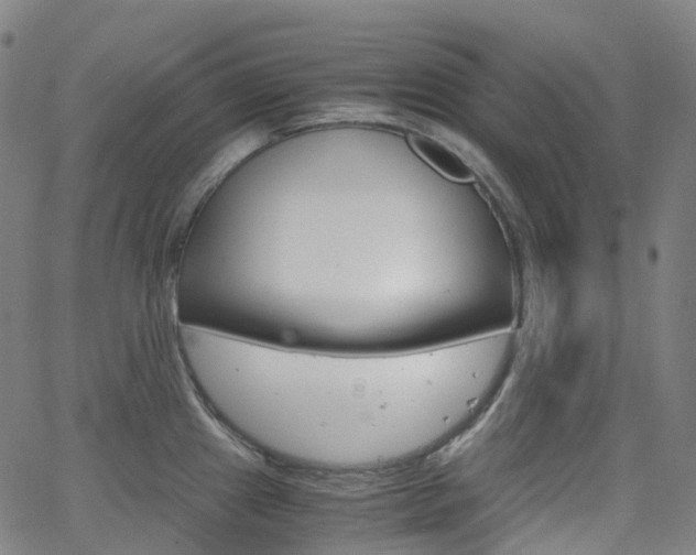 X0000063501241200601201018
