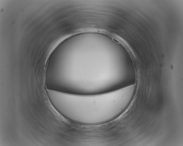 X0000063501244200601201018