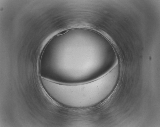 X0000063501246200601201018