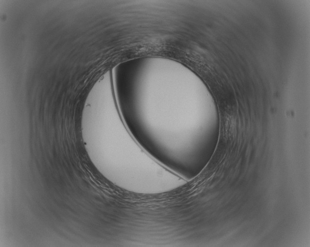 X0000063501250200601201017