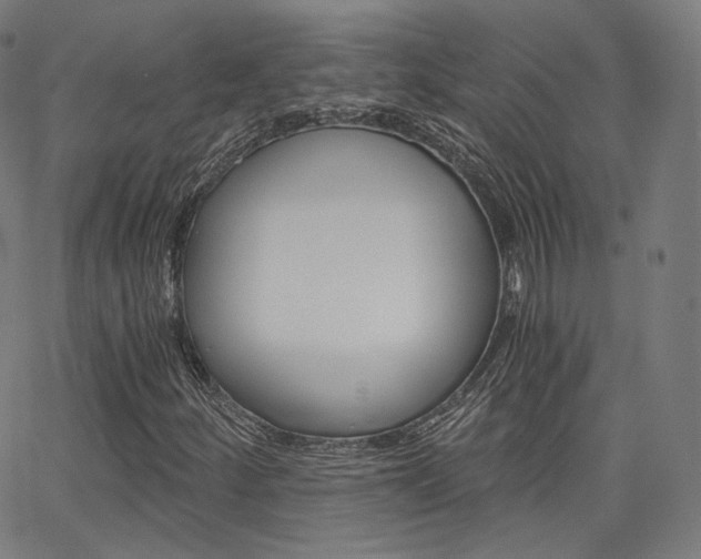 X0000063501252200601201017