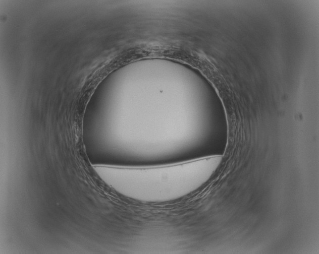 X0000063501253200601201017